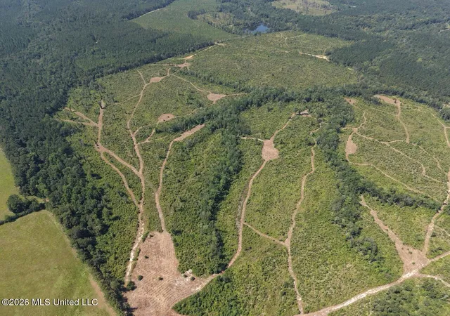 Photo 3 of Land for sale at 3 Dewitt Ln, Bogalusa, LA 70427 | MLS# 4160724 | Listing updated on 2026-08-28