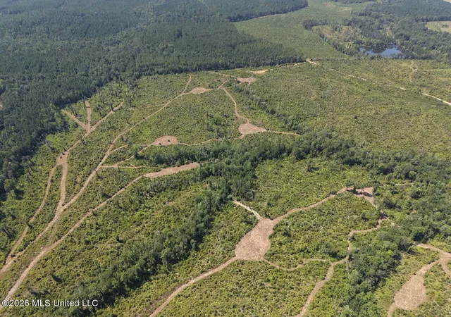 Photo 4 of Land for sale at 3 Dewitt Ln, Bogalusa, LA 70427 | MLS# 4160724 | Listing updated on 2026-08-28