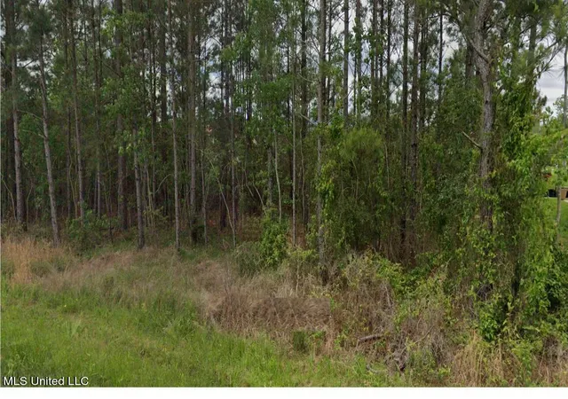 Photo 1 of Land for sale at Lark St, Bay Saint Louis, MS 39520 | MLS# 4160734 | Listing updated on 2026-08-28