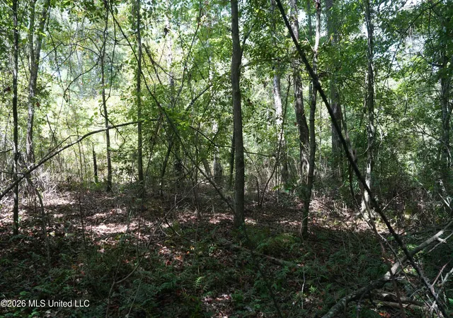 Photo 2 of Land for sale at Joe Booth Rd, Collins, MS 39428 | MLS# 4160767 | Listing updated on 2026-08-28