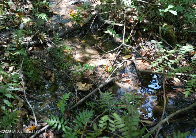 Photo 3 of Land for sale at Joe Booth Rd, Collins, MS 39428 | MLS# 4160767 | Listing updated on 2026-08-28