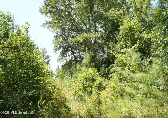 Photo 3 of Land for sale at Joe Booth Rd, Collins, MS 39428 | MLS# 4160767 | Listing updated on 2026-08-28