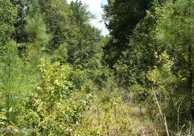Photo 4 of Land for sale at Joe Booth Rd, Collins, MS 39428 | MLS# 4160767 | Listing updated on 2026-08-28