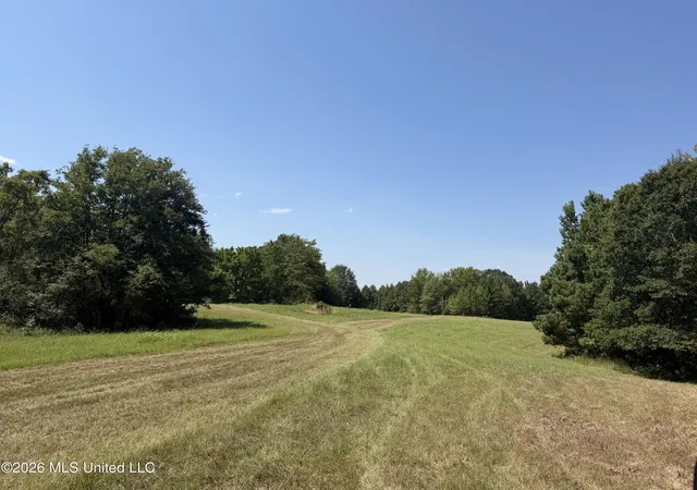 Photo 3 of Sale Pending at 390 Springfield Rd, Senatobia, MS 38668 | MLS# 4160783 | Listing updated on 2026-09-04