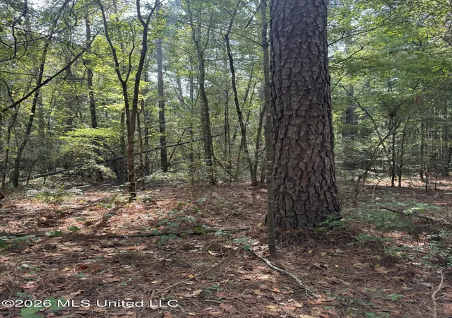 Photo 3 of Land for sale at Permenter Rd, Carthage, MS 39051 | MLS# 4160795 | Listing updated on 2026-08-28