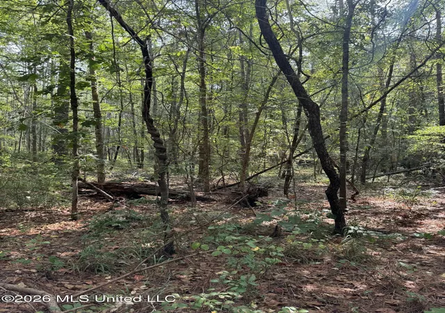 Photo 3 of Land for sale at Permenter Rd, Carthage, MS 39051 | MLS# 4160795 | Listing updated on 2026-08-28