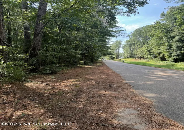 Photo 4 of Land for sale at Permenter Rd, Carthage, MS 39051 | MLS# 4160795 | Listing updated on 2026-08-28