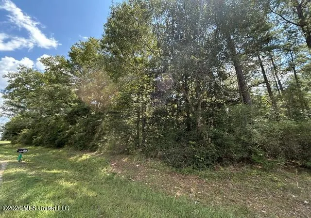 Photo 2 of Land for sale at Carter Ln, Summit, MS 39666 | MLS# 4160786 | Listing updated on 2026-08-28