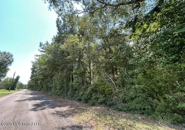 Photo 3 of Land for sale at Carter Ln, Summit, MS 39666 | MLS# 4160786 | Listing updated on 2026-08-28