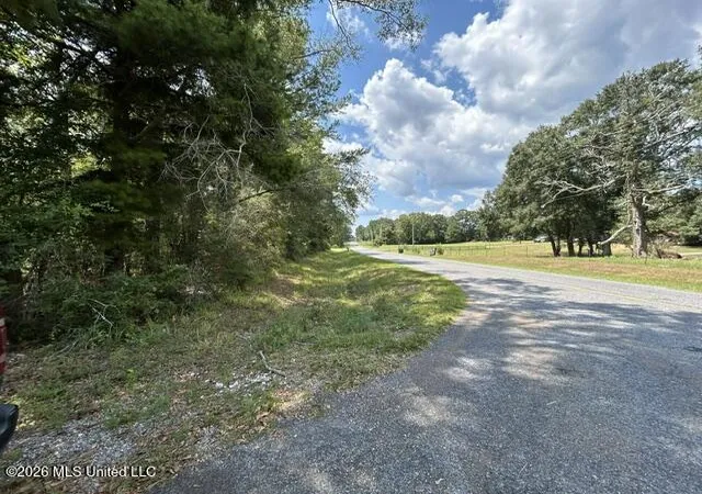 Photo 4 of Land for sale at Carter Ln, Summit, MS 39666 | MLS# 4160786 | Listing updated on 2026-08-28
