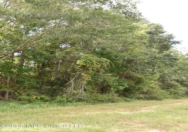 Photo 3 of Land for sale at Lobouy Rd, Pass Christian, MS 39571 | MLS# 4160870 | Listing updated on 2026-09-09