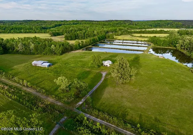 Photo 3 of Land for sale at 00002 County Road 204, Tiplersville, MS 38674 | MLS# 4160824 | Listing updated on 2026-08-29