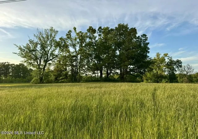 Photo 3 of Land for sale at 00002 County Road 204, Tiplersville, MS 38674 | MLS# 4160824 | Listing updated on 2026-08-29
