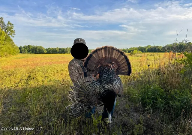 Photo 4 of Land for sale at 00002 County Road 204, Tiplersville, MS 38674 | MLS# 4160824 | Listing updated on 2026-08-29