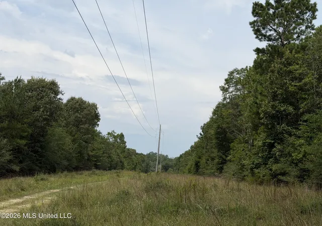 2nd image of W Woodland Dr, Wiggins, MS 39577 | MLS# 4160842