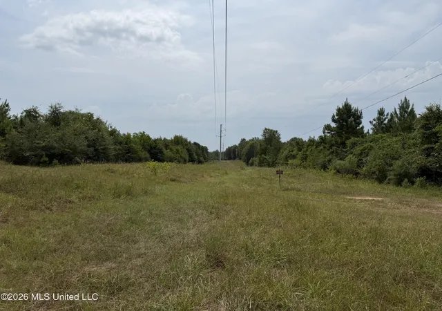 4th image of W Woodland Dr, Wiggins, MS 39577 | MLS# 4160842