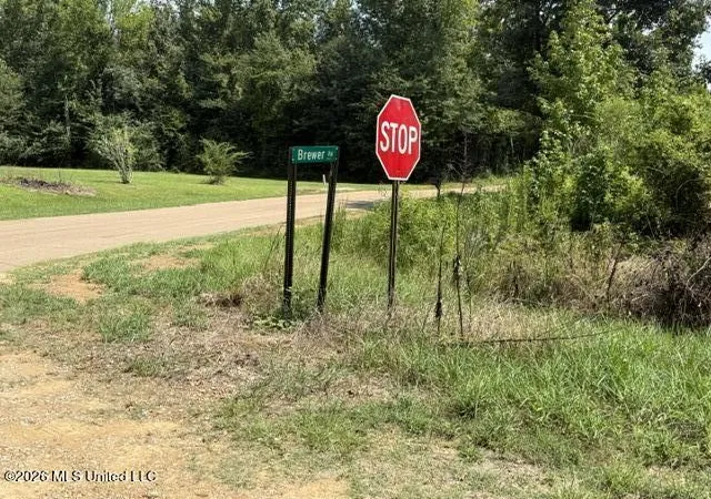 Photo 2 of Land for sale at 0 Tallabogue Rd, Forest, MS 39074 | MLS# 4160881 | Listing updated on 2026-08-29