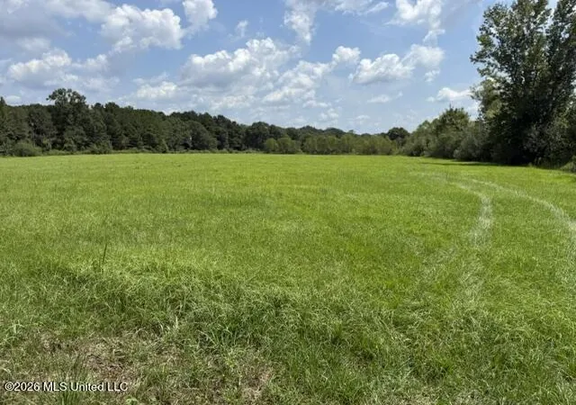 Photo 3 of Land for sale at 0 Tallabogue Rd, Forest, MS 39074 | MLS# 4160881 | Listing updated on 2026-08-29