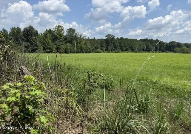 Photo 4 of Land for sale at 0 Tallabogue Rd, Forest, MS 39074 | MLS# 4160881 | Listing updated on 2026-08-29