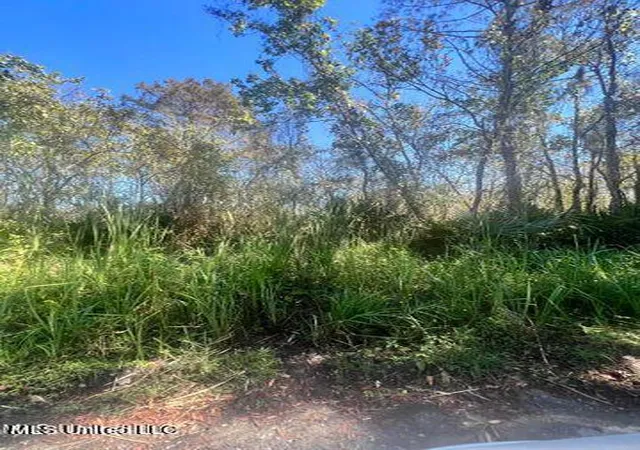 Photo 4 of Land for sale at 3659 Roberts Rd, Moss Point, MS 39562 | MLS# 4160908 | Listing updated on 2026-09-07