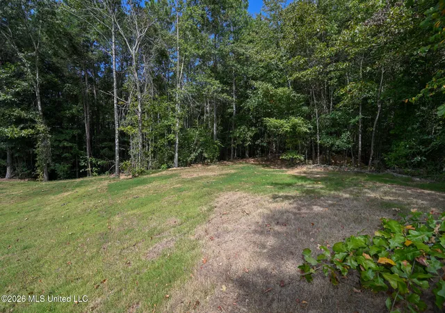 Photo 63 of Single family home for sale at 13976 Myers Plantation Rd, Byhalia, MS 38611 | MLS# 4160987 | Listing updated on 2026-09-12