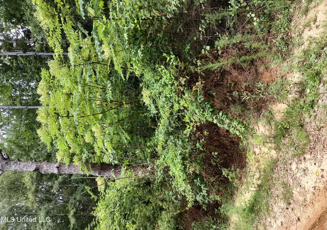 Land for sale at Lakeshore Dr, Lumberton, MS 39455 | MLS# 4160921