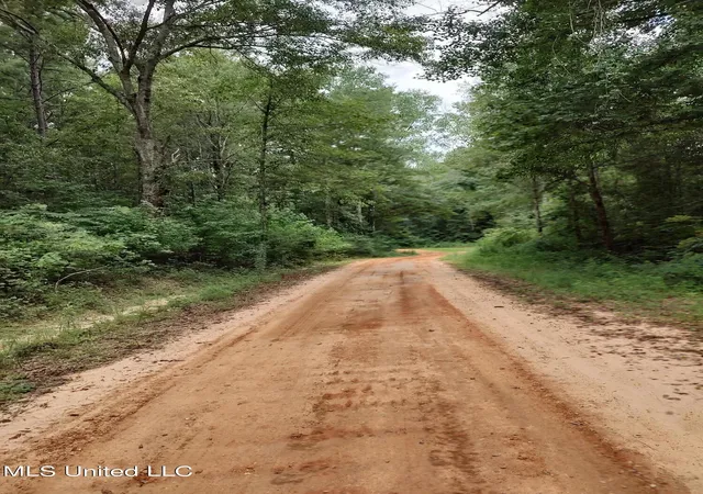 Photo 2 of Land for sale at Lakeshore Dr, Lumberton, MS 39455 | MLS# 4160921 | Listing updated on 2026-08-30