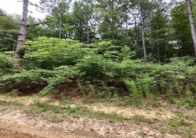 Photo 3 of Land for sale at Lakeshore Dr, Lumberton, MS 39455 | MLS# 4160921 | Listing updated on 2026-08-30