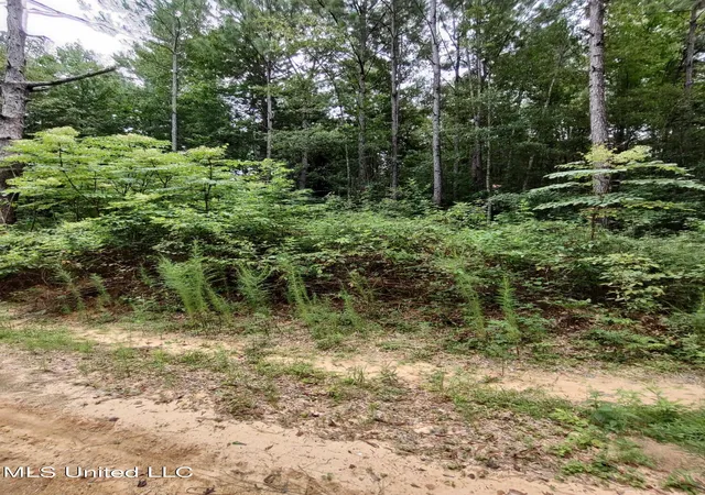 Photo 3 of Land for sale at Lakeshore Dr, Lumberton, MS 39455 | MLS# 4160921 | Listing updated on 2026-08-30