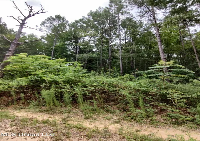 Photo 4 of Land for sale at Lakeshore Dr, Lumberton, MS 39455 | MLS# 4160921 | Listing updated on 2026-08-30