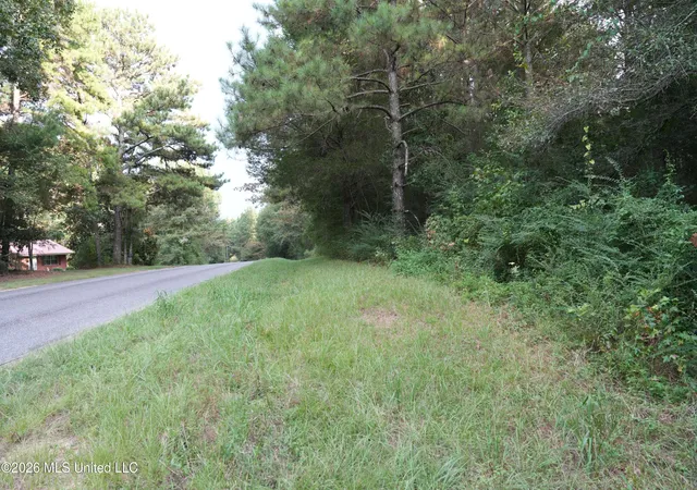 Photo 16 of Sale Pending at County Road 16, Louin, MS 39338 | MLS# 4160928 | Listing updated on 2026-09-09