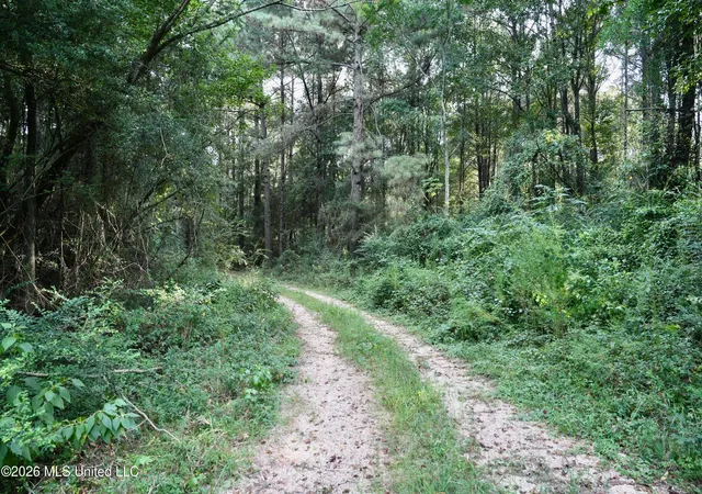 Photo 1 of Sale Pending at County Road 16, Louin, MS 39338 | MLS# 4160928 | Listing updated on 2026-09-09