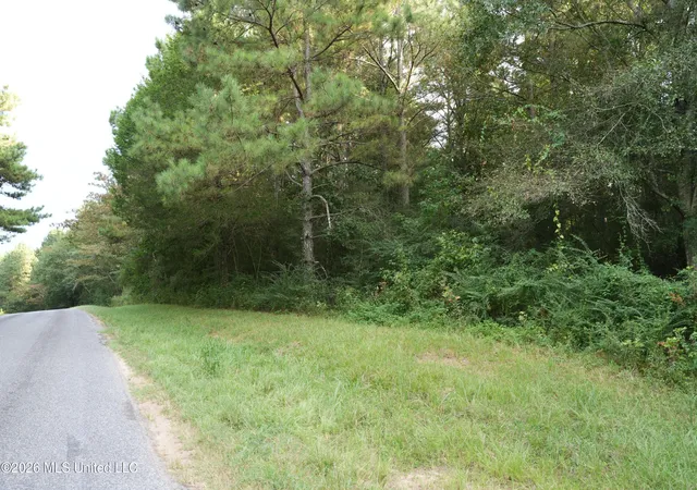 Photo 2 of Sale Pending at County Road 16, Louin, MS 39338 | MLS# 4160928 | Listing updated on 2026-09-09