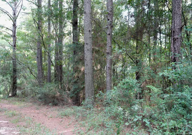 Photo 2 of Sale Pending at County Road 16, Louin, MS 39338 | MLS# 4160928 | Listing updated on 2026-09-09