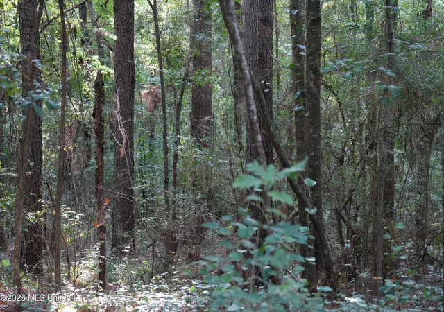 Photo 3 of Sale Pending at County Road 16, Louin, MS 39338 | MLS# 4160928 | Listing updated on 2026-09-09