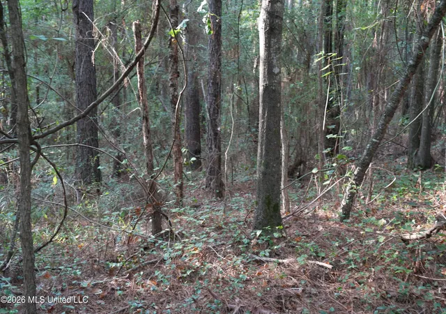 Photo 4 of Sale Pending at County Road 16, Louin, MS 39338 | MLS# 4160928 | Listing updated on 2026-09-09