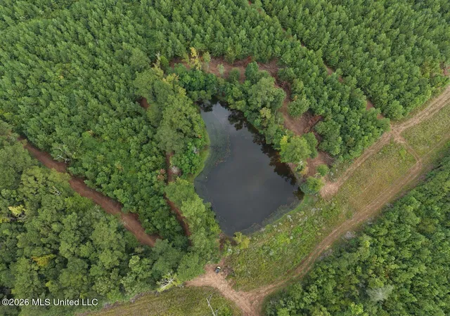Photo 1 of Land for sale at 11852 Highway 24, Centreville, MS 39631 | MLS# 4160951 | Listing updated on 2026-08-31