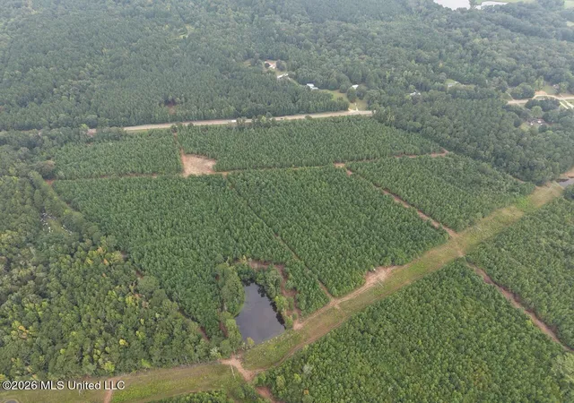 Photo 2 of Land for sale at 11852 Highway 24, Centreville, MS 39631 | MLS# 4160951 | Listing updated on 2026-08-31