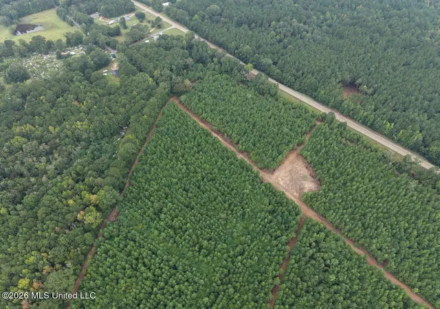 Photo 3 of Land for sale at 11852 Highway 24, Centreville, MS 39631 | MLS# 4160951 | Listing updated on 2026-08-31