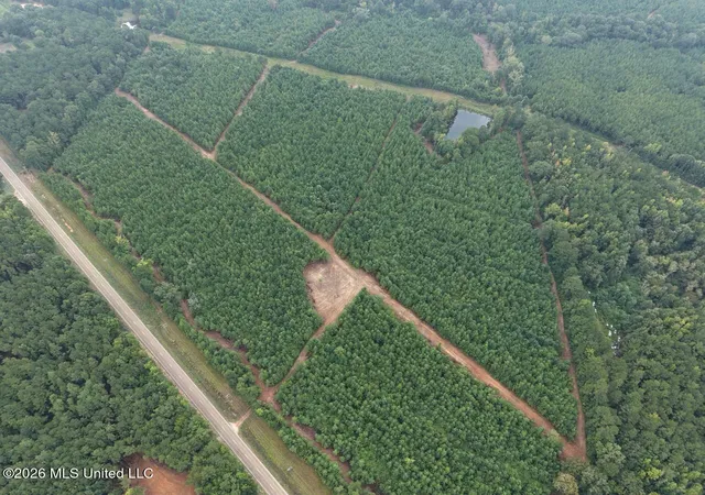Photo 3 of Land for sale at 11852 Highway 24, Centreville, MS 39631 | MLS# 4160951 | Listing updated on 2026-10-21