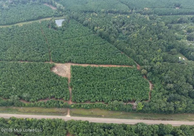 Photo 4 of Land for sale at 11852 Highway 24, Centreville, MS 39631 | MLS# 4160951 | Listing updated on 2026-10-21