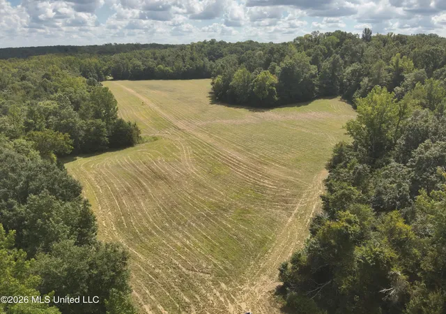 Photo 1 of Land for sale at Ms 35, Carrollton, MS 38917 | MLS# 4161033 | Listing updated on 2026-09-01
