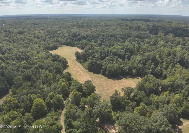 Photo 2 of Land for sale at Ms 35, Carrollton, MS 38917 | MLS# 4161033 | Listing updated on 2026-09-01
