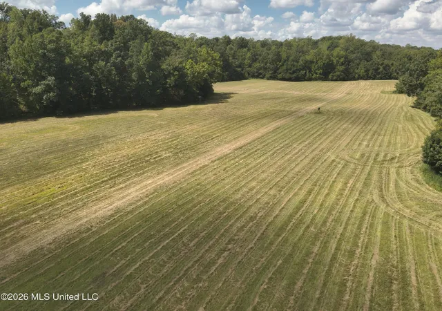 Photo 3 of Land for sale at Ms 35, Carrollton, MS 38917 | MLS# 4161033 | Listing updated on 2026-09-01