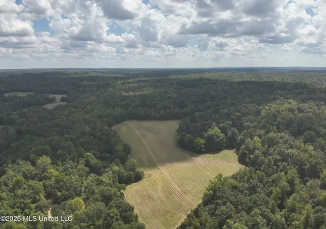 Photo 3 of Land for sale at Ms 35, Carrollton, MS 38917 | MLS# 4161033 | Listing updated on 2026-09-01