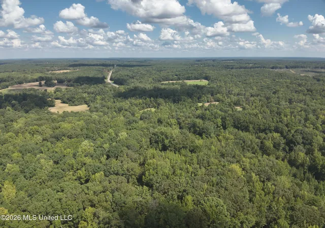 Photo 4 of Land for sale at Ms 35, Carrollton, MS 38917 | MLS# 4161033 | Listing updated on 2026-09-01