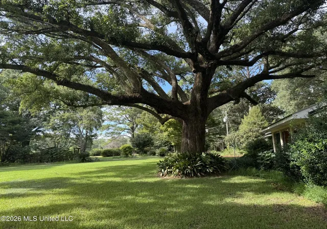 Photo 2 of Single family home for sale at 22500 Jones Ln, Moss Point, MS 39562 | MLS# 4161003 | Listing updated on 2026-08-31