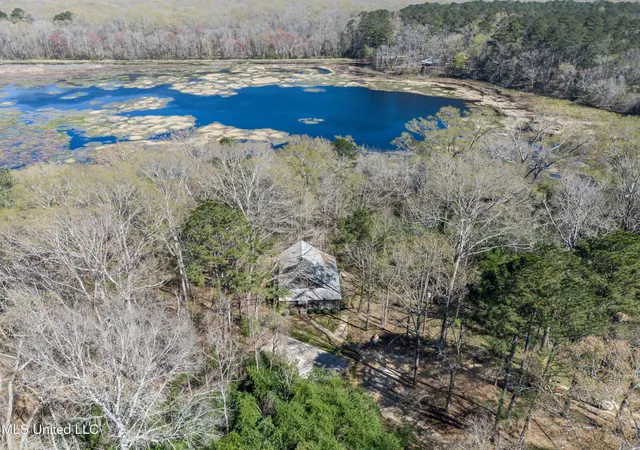 Photo 3 of Single family home for sale at 2406 Scr 563, Morton, MS 39117 | MLS# 4161013 | Listing updated on 2026-09-04