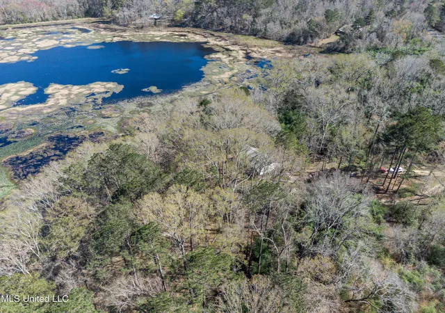 Photo 3 of Single family home for sale at 2406 Scr 563, Morton, MS 39117 | MLS# 4161013 | Listing updated on 2026-09-04