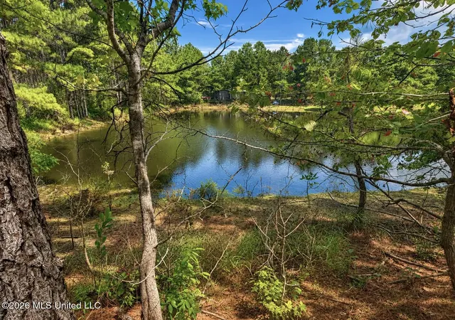 Photo 2 of Single family home for sale at 143 Pre Eddy Rd, Lucedale, MS 39452 | MLS# 4161021 | Listing updated on 2026-09-02